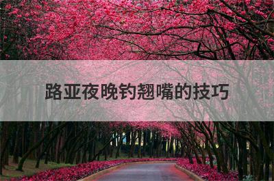 路亚夜晚钓翘嘴的技巧