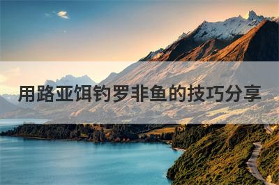 用路亚饵钓罗非鱼的技巧分享