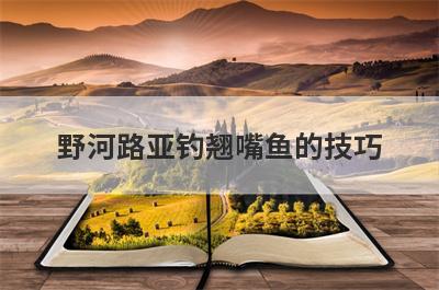 野河路亚钓翘嘴鱼的技巧