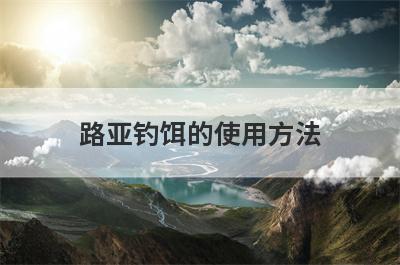 路亚钓饵的使用方法