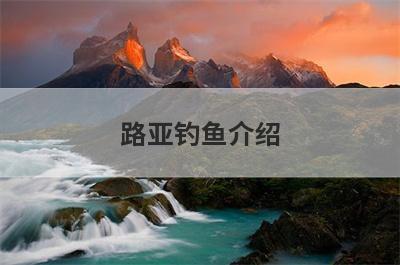 路亚钓鱼介绍