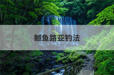 鳡鱼路亚钓法