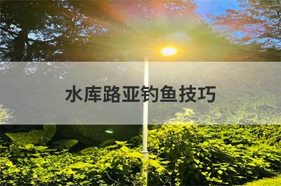 水库路亚钓鱼技巧