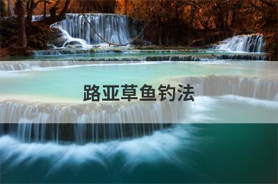 路亚草鱼钓法