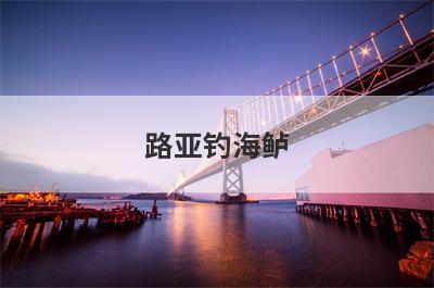 路亚钓海鲈