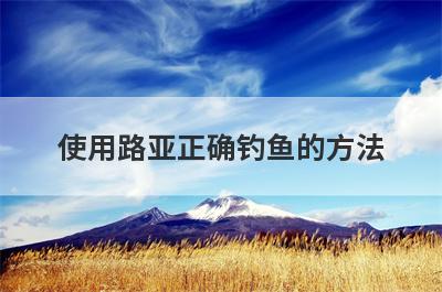使用路亚正确钓鱼的方法