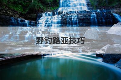 野钓路亚技巧