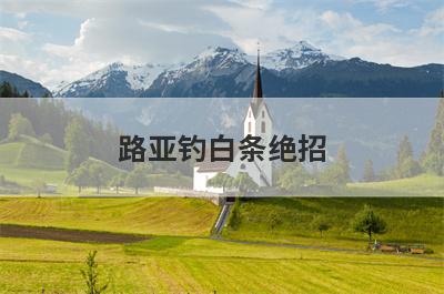 路亚钓白条绝招