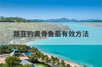路亚钓黄骨鱼最有效方法