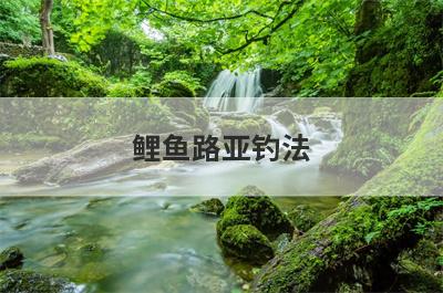 鲤鱼路亚钓法