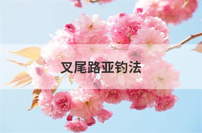 叉尾路亚钓法
