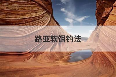路亚软饵钓法