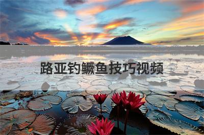 路亚钓鳜鱼技巧视频