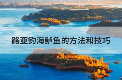 路亚钓海鲈鱼的方法和技巧