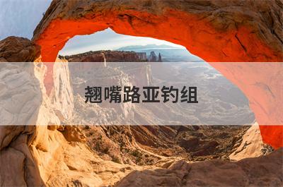 翘嘴路亚钓组
