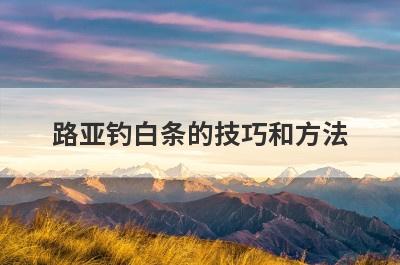 路亚钓白条的技巧和方法