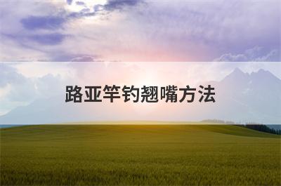 路亚竿钓翘嘴方法