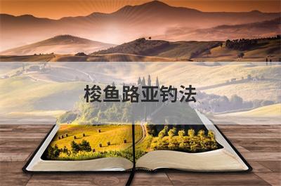 梭鱼路亚钓法