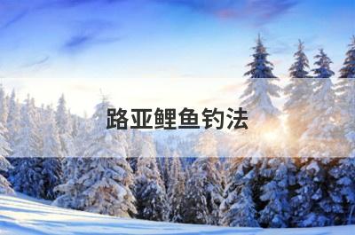 路亚鲤鱼钓法