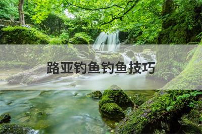 路亚钓鱼钓鱼技巧