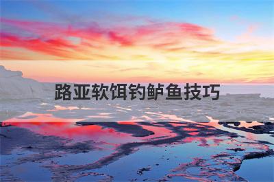 路亚软饵钓鲈鱼技巧