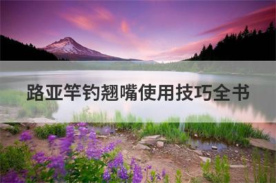 路亚竿钓翘嘴使用技巧全书