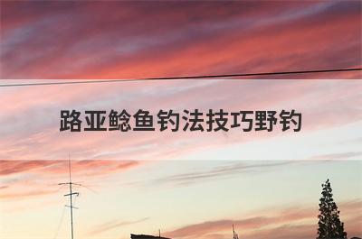 路亚鲶鱼钓法技巧野钓