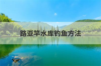 路亚竿水库钓鱼方法
