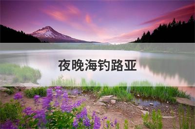 夜晚海钓路亚
