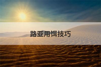 路亚用饵技巧