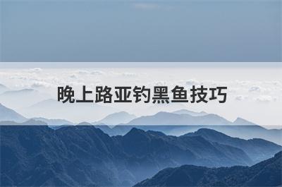 晚上路亚钓黑鱼技巧