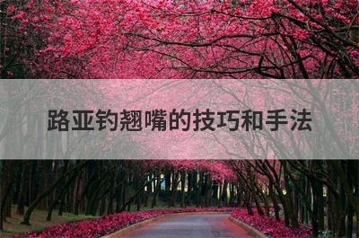 路亚钓翘嘴的技巧和手法