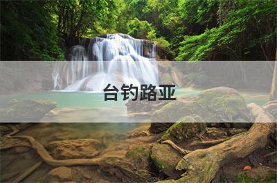台钓路亚