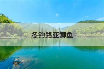 冬钓路亚鲫鱼
