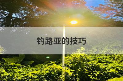 钓路亚的技巧