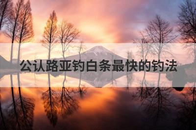 公认路亚钓白条最快的钓法