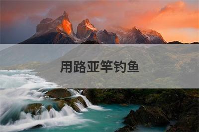 用路亚竿钓鱼