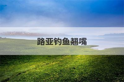 路亚钓鱼翘嘴