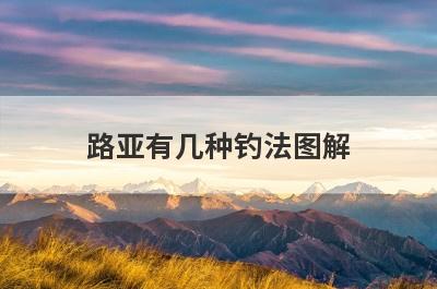 路亚有几种钓法图解