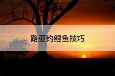 路亚钓鲤鱼技巧