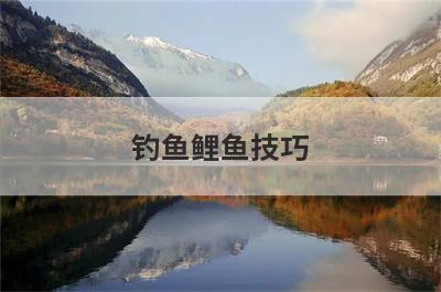 钓鱼鲤鱼技巧