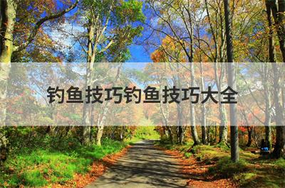 钓鱼技巧钓鱼技巧大全