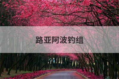 路亚阿波钓组