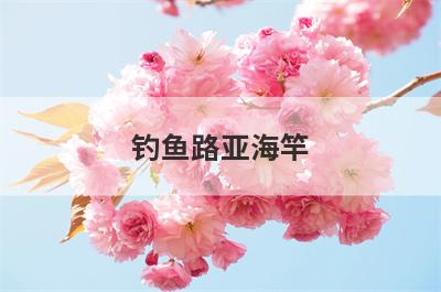 钓鱼路亚海竿