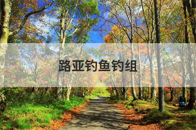路亚钓鱼钓组