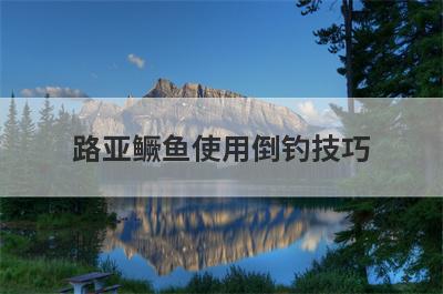 路亚鳜鱼使用倒钓技巧