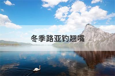 冬季路亚钓翘嘴