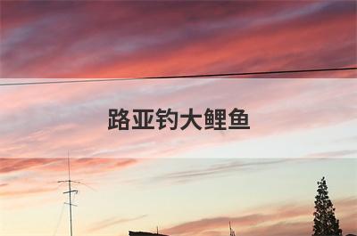 路亚钓大鲤鱼