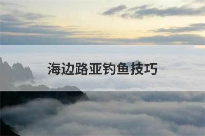 海边路亚钓鱼技巧
