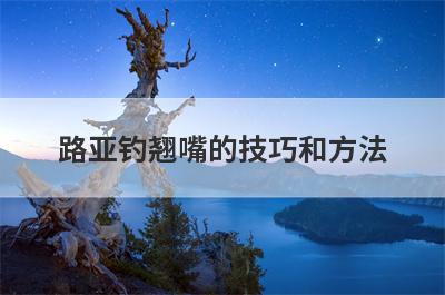 路亚钓翘嘴的技巧和方法